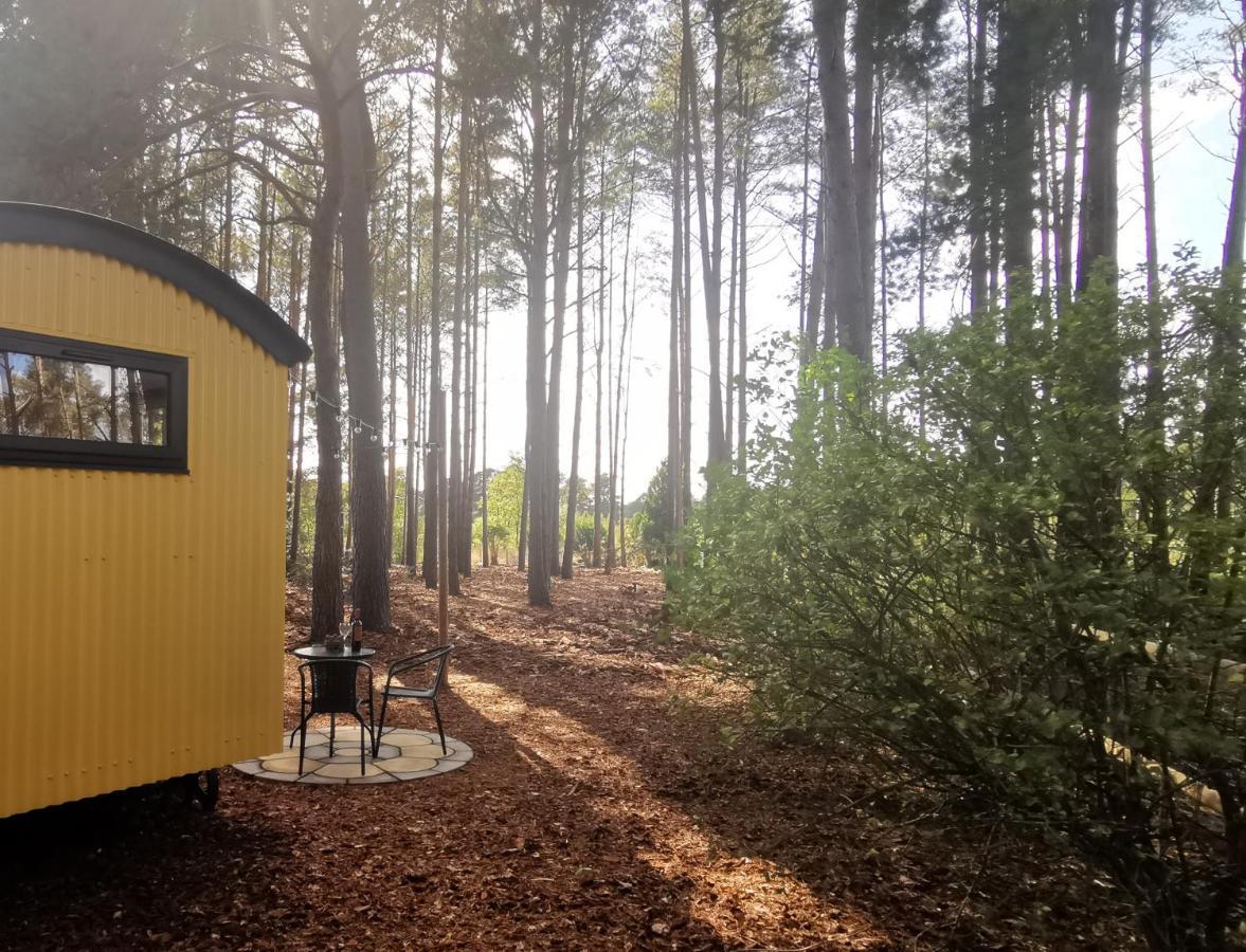 Forest Heath Shepherd'S Huts Ringwood Buitenkant foto