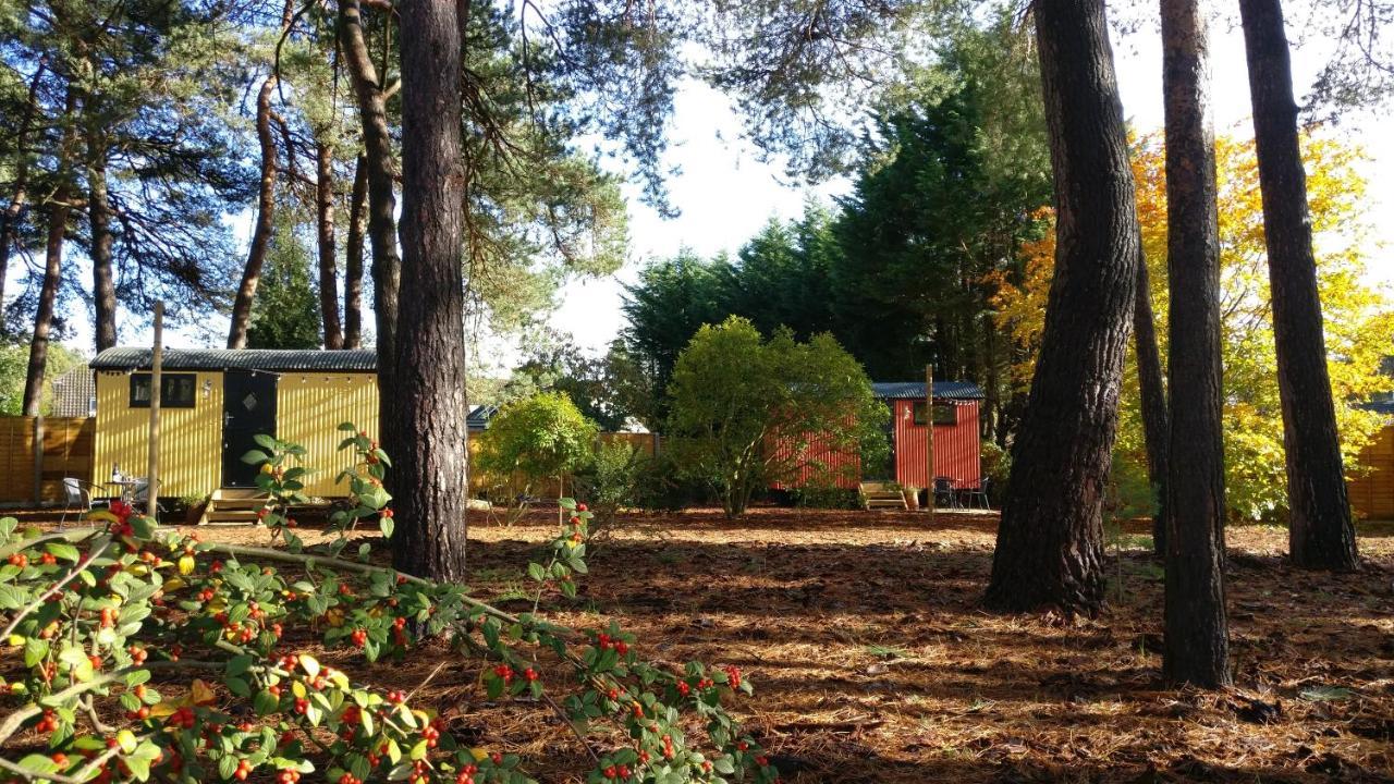 Forest Heath Shepherd'S Huts Ringwood Buitenkant foto