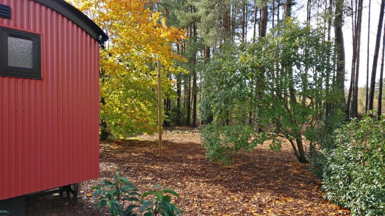 Forest Heath Shepherd'S Huts Ringwood Buitenkant foto